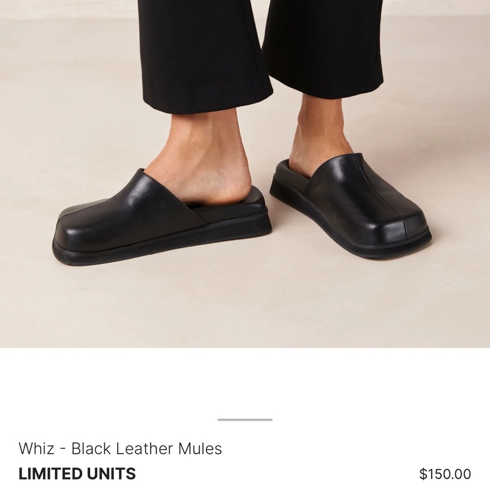 Like New, Worn once- Alohas Wizz black mule sandal
